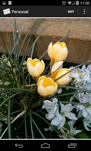 Free Download Diary Notebook Free APK