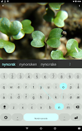 Nynorsk Keyboard plugin poster 1