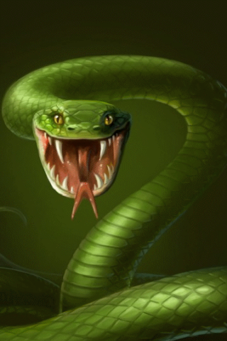 Download Cobra Snake Live Wallpaper APK