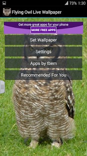 Flying Owl Live Wallpaper(圖6)-速報App