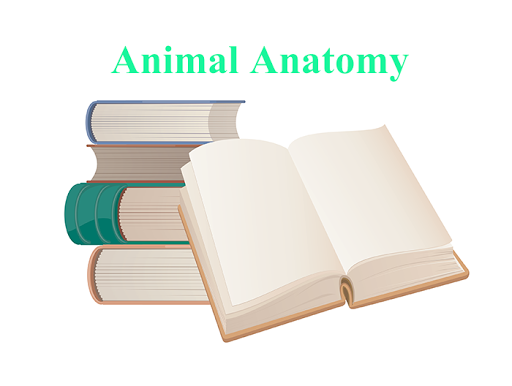 免費下載程式庫與試用程式APP|Animal Anatomy E-Book app開箱文|APP開箱王