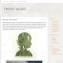 Triinu blogi logo