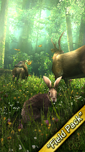 Forest HD(圖6)-速報App