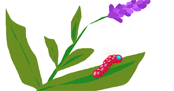Lavender and Caterpillar