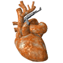 Halo Reach Guns icon