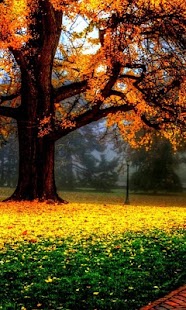How to get Autumn Wallpapers lastet apk for laptop