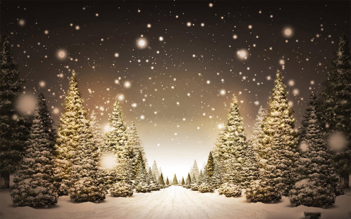  /><br /><br/><p>Christmas Snow</p></center></center>
<div style='clear: both;'></div>
</div>
<div class='post-footer'>
<div class='post-footer-line post-footer-line-1'>
<div style=