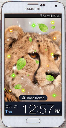 Cheetah Galley live Wallpaper