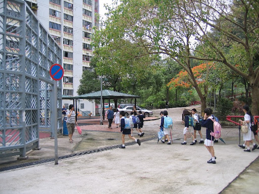 大樹3