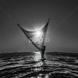 Catch the Light by Ahamadul Karim -  