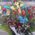 Flowers HD wallpapers logo