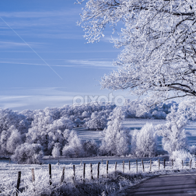 Morning frozen by Stankowski Daniel - Landscapes Prairies, Meadows & Fields