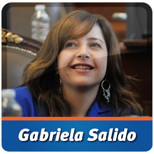 Dip. Gabriela Salido Magos 2.0.0