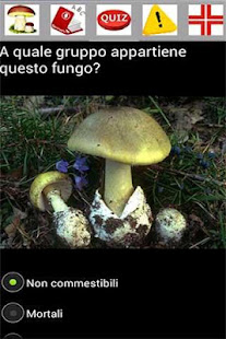Cerca Funghi(圖8)-速報App