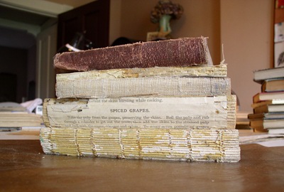 exposed book spines