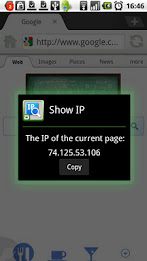 Dolphin Show IP poster 2