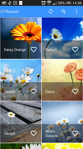 免費下載攝影APP|Daisy Wallpapers 2015 app開箱文|APP開箱王