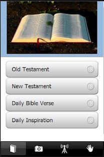 Holy Bible NIV