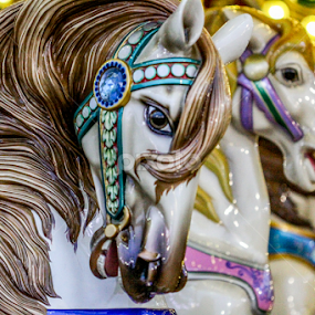 Eye of the Carousel by Juliana Sabo - Artistic Objects Other Objects