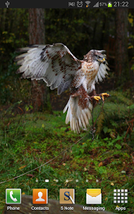 Eagles Wallpapers(圖4)-速報App