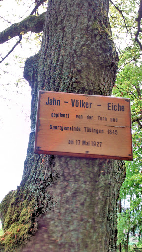Jahn- Völker- Eiche