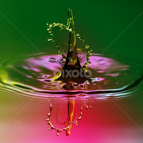 Colour Galore by Nirmal Kumar - Abstract Water Drops & Splashes