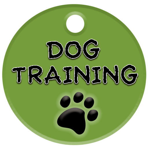 犬訓練