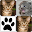 Cats Memory Game Download on Windows