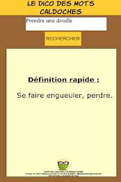 the dictionary of words Caldoches poster 3