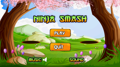 Ninja Vurmaca Ninja Smash