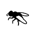 Keiner Fliege1.4.2