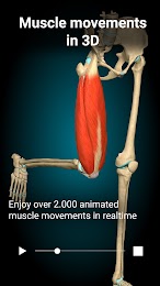 Anatomy Learning - 3D Anatomy 1