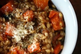 Warm Butternut Squash and Wheatberry Salad
