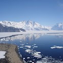 Antartica Live Wallpaper logo