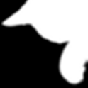 Catty Map logo