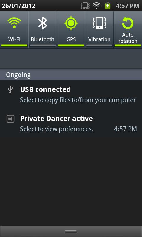 Private Dancer Screen 2