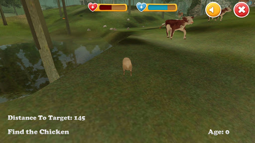 Animal Discovery 3D