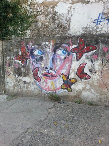 Grafite mulher e borboletas