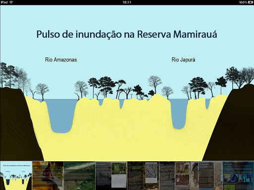 免費下載教育APP|Mamirauá App app開箱文|APP開箱王