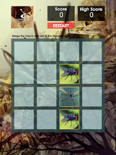 How to install Colony Clash : Merge Fly 1.0 apk for android