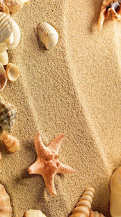 Sea Shell Live Wallpaper(圖6)-速報App