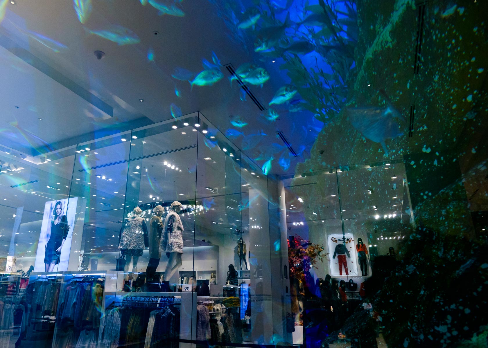 Aquarium and Stores, The Dubai Mall
