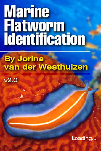 Marine Flatworms ID