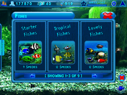 免費下載家庭片APP|Pocket Aquarium app開箱文|APP開箱王