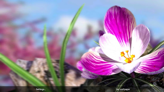 Nature Live❁ Spring Flowers XL(圖5)-速報App