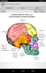 Head and Neck Lectures(圖5)-速報App