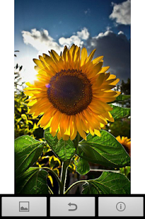 How to get Fantastic Flower Wallpaper HD lastet apk for android