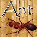 Ant Smasher Game logo