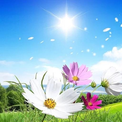 Fresh Spring HD Live Wallpaper LOGO-APP點子