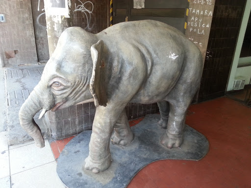 El Elefante de la Galería Colón